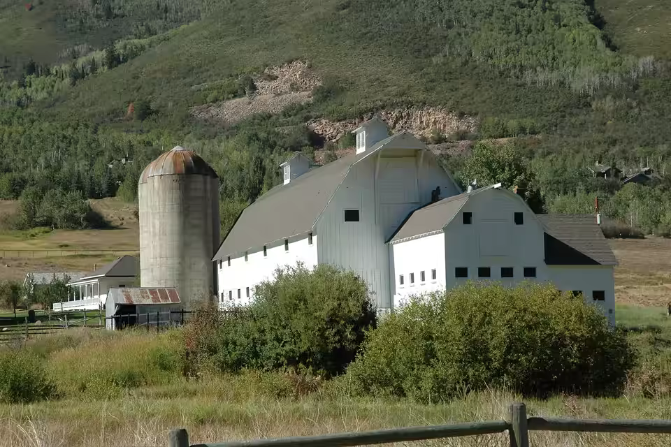 McPolin Farmstead and open meadow at the edge of Park City.